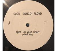 Open Up Your Heart Remix-12"