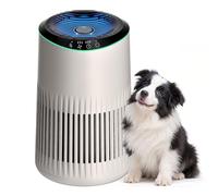Operan Air Purifier Allergy Home Bedroom Office, HEPA Filters with Aromatherapy Diffuser, Air Purifier for Smoke, Allergies, Pet Dander, Air Frenshener, 1 Pack+3 Modes