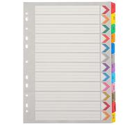 Operitacx 12pcs A4 Plastic Detachable Binder Dividers with Colorful Tabs, English Monthly Index Separators for Ring Binders, Notebook Page Markers for Office and School Filing
