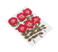 Operitacx 12pcs Natural Red Dried Rose and Rose Leaves Pressed Flowers for DIY Handcraft and Decoration, for Dried Flower Craft and Party Floral Decor