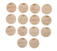 Operitacx 14Pcs Milestone Memorial Cards Month Ornaments Decorative Photo Props for Growth Record Safe Durable Wooden Slices Keepsake for Parents