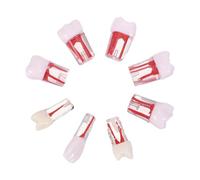 Operitacx 8pcs Typodont Teeth Model with Roots Resin Demonstration Model Precision Pulp Chamber for Endodontic Practice Students and Assistants