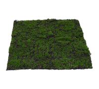 Operitacx Artificial Moss Moss Turf Lawn Pad 30cmx30cm Green Pearl Cotton Flocking No Strange Odors No Need for Water for Centerpieces and Glass Containers