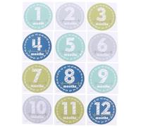 Operitacx Baby Photo Stickers Monthly Milestone Labels for Boys Paper Material to Record Baby's First Year Growth as Photo Props for Albums