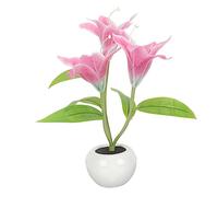 Operitacx Creative Lily Flower Pot Table Lamp Plastic Night Lamp for Bedroom Decorative Bedside Light with Head Design Practical Accent Lighting