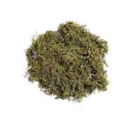 Operitacx Dried Moss 3 Bags Natural Decorative Moss for Handicrafts Bonsai Landscaping Flowerpot Decor 50g Each