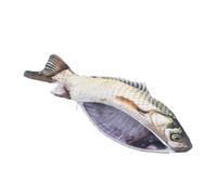 Operitacx Fish Shaped Pencil Pouch Pen Bag Stationery Holder for Students Teens, Creative Fake Fish Design with Zipper Closure, Medium Size for School and Travel Use