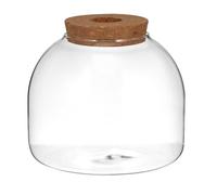 Operitacx Glass Terrarium Container with Wood Base for Hydroponic Plants Small Fish Suitable to Make A Landscape Decoration and for Crafting and Yard Use Yard Use