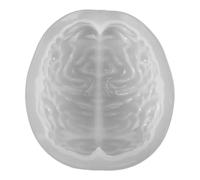 Operitacx Halloween Human Brain Shaped Silicone Candle Mold for DIY Candle Making and Epoxy Crafts, White Scary Anatomical Mold Suitable for Personal and Professional Use
