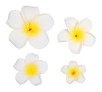 Operitacx Hawaiian Hibiscus Flower Hair Clips Foam Material 4pcs for Women Sweet Style for Wedding and Summer Beach Party Accessories