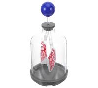 Operitacx Lung Breathing Model with Diaphragm Movement for Classroom Science Kit, Sturdy Plastic Anatomy Display Showing Respiratory Mechanics for Students and Teachers