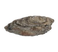 Operitacx Realistic Trilobite Resin Insect Specimen for Science Teaching and Reptile Terrarium Decor with Versatile Application in and Educational Spaces