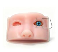 Ophthalmic Surgery Practice Model, Silicone Eye Training Simulator/Eye Practice Training Model, Eye Simulation Training Animal Eye Simulation Training Model for Medical Students