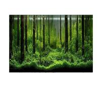 OPIGJUFD Fish Tank Background Aquarium Background Poster 3D PVC Adhesive Sticker Fish Tank Underwater World Backdrop Ocean Sea Plants Decorative Background(D,41x61cm)
