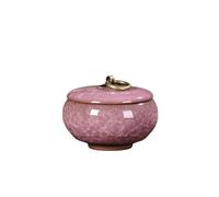 OPIGJUFD Pet Urn Ceramic Pet Mini Urns Small Animals Container Ashes Cats And Dogs Funerals Funerary Coffins for Memory(Color 12)