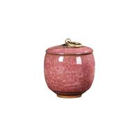 OPIGJUFD Pet Urn Ceramic Pet Mini Urns Small Animals Container Ashes Cats And Dogs Funerals Funerary Coffins for Memory(Color 05)