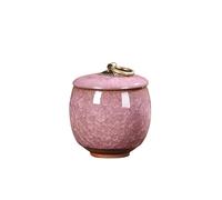 OPIGJUFD Pet Urn Ceramic Pet Mini Urns Small Animals Container Ashes Cats And Dogs Funerals Funerary Coffins for Memory(Color 08)