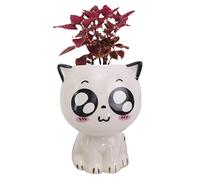 Opilroyn Cat Planter Pot - Cartoon Animal Cat Cactus Pots, Cute Expression Cat Ornaments | Head Doll Plant Potted, Home Garden Decor Without Base Tray For Desktop Table Shelf Window Sill Office