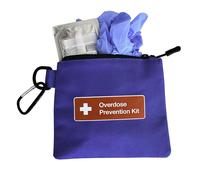 Opioid Overdose Prevention Kit Canvas Bag | Designed for Overdose Readiness Planning Kits (Case Only) (Blue, Single)