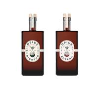 Opius Alcohol-Free Liqueur Pair | Nigredo & Rubedo | Premium Non-Alcoholic Elixirs | 2 x 50cl Bottles | Bold Botanical Flavours
