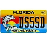 OPO 10 - USA car LICENSE PLATE - 30x15 cms metal replica: FLORIDA (C13)