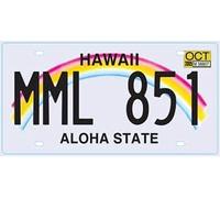 OPO 10 - USA car LICENSE PLATE - 30x15 cms metal replica: HAWAII (C15)