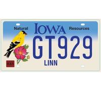 OPO 10 - USA car LICENSE PLATE - 30x15 cms metal replica: IOWA (C19)