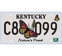 OPO 10 - USA car LICENSE PLATE - 30x15 cms metal replica: KENTUCKY (C21)