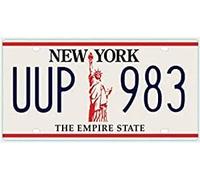 OPO 10 - USA car LICENSE PLATE - 30x15 cms metal replica: NEW YORK (C36)