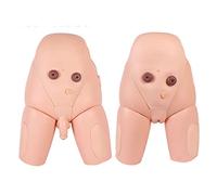 OPOBMBNGX Male Female Interchangeable Catheterization Model Human Catheterization Practice Enema Teaching Nursing Operation Mold Catheterization Practice Catheterization Training for Medical Practice