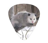 Opossum In Snow Guitar Plectrums Classical Triangle Bass Acoustic And Electric Guitar Plectrums For Guitarists 12 Pieces
