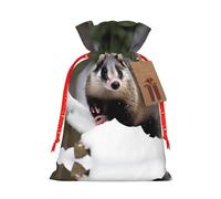 Opossum In Snow Print Printing Christmas Bag With Drawstring Closure, 4.7x6.9 In For Christmas Party Birthday Gift Wrapping