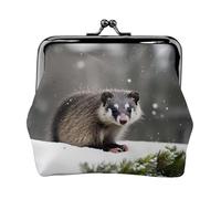 Opossum In Snow small wallets woman,wallets for women,coin purse for women,small womens wallet,with zipper and kiss lock, Black, One Size, Art Deco