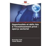 Opportunités et défis liés à l'investissement privé : aperçu sectoriel