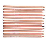 OPPWONG Pastel Pencils, Professional Toner Drawing Pencils, Thick Sturdy Refill, Ideal for Sketching, Illustration & Coloring Books