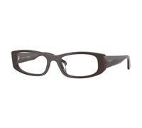 Optical Frame - female - VOGUE - Glasses - Brown - 53 MM - Accessories 53 MM