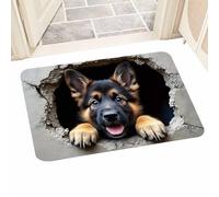Optical Illusion Mat, Soft Non-Slip Decoration with Squirrel and Dog for Home - 3D Visual Effect Decoration | for Entryway Living Room Bedroom Hallway Birthday Halloween Thanksgivin