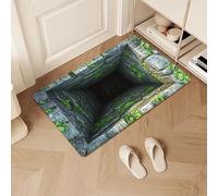 Optical Illusion Rug, 3D Bottomless Hole Optical Illusion Area Mat, Non-Slip Carpet for Indoor Outdoor Entrance, Rugs That Look Like a Hole, Test & Play with Your Dog or Cat (#F)