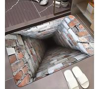 Optical Illusion Rug, 3D Rugs Optical Illusion Non-Slip Visual Trap Floor Mat for Indoor and Outdoor Use,Hole in the floor rug Rug Ideal for Doorway, Living Room, Bedroom and Porch Decor (H)