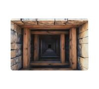 Optical Illusion Rug - 40 x 60 cm Non-Slip Mat for Indoors - 3D Rugs with Optical Illusion and Visual Effect, for Halloween Entrance Kitchen Bathroom and Home Interior Decoration