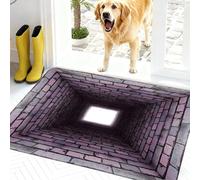 Optical Illusion Rug, Dog Gets Scared of 3D Hole Carpet, Rug That Looks Like a Hole, 3D Carpet Bottomless Hole Optical Illusion Area Mat, Test & Play with Your Dog or Cat (F-40*60cm(16*24in))