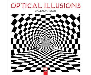 Optical Illusions Wall Calendar 2025 (Art Calendar)