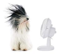 Optimal Products Pedestal Oscillating Stand Fan Desk Fans Electric Tower Standing Office Home & Kitchen Appliances Heating, Cooling Air Fans (6" Desk Fan)