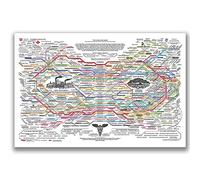 Optivixity The Healing Web Map Poster Spirit Natural Remedies Chart Wall Art Home Decoration