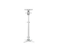 Optoma OCM818W Black Universal Pole Mount, White