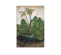 OqcEha Albrecht Dürer Paintings Wall Art Poster Prints Tuft of Cowslips Artworks Picture Print Wall Art Painting Canvas Gift Decor Homes Decorative Unframe 16x24inch(40x60cm)