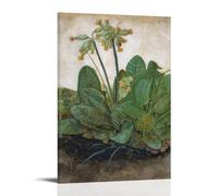 OqcEha Albrecht Dürer Paintings Wall Art Poster Prints Tuft of Cowslips Wall Art Painting Canvas Gift Living Room Prints Bedroom Decor Artworks Frame 16x24inch(40x60cm)