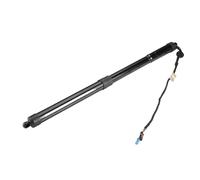 OQRDVVTT For P&orsche For Panamera 970 2010-2016 Power Hatch Lift Support Tailgate Gas Strut 97051257312 97051257306 97051257308 97051257318(Rear Left Tailgate)