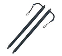 OQRDVVTT Rear Power Electric Liftgate Tailgate Support Strut For X3 F25 2011-2014 51247232003 51247432741 51247232004 51247432742(Pair)