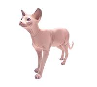 Oracra Mannequin Body Realistic Hairless Sphynx Cat Figurine, Small Standing Cats Statue Home Decor, Detachable Pet Mannequin Clothes Models Display Stand, Pet Props(A)